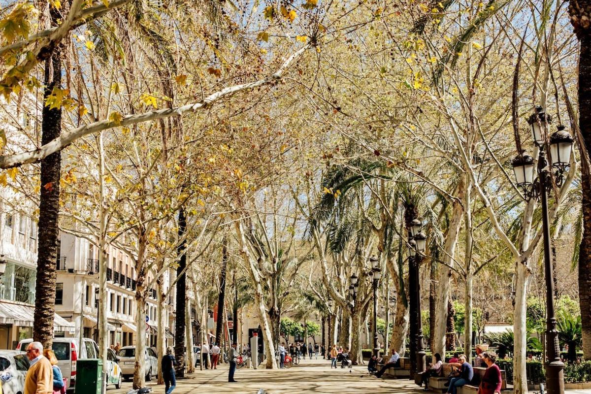 Plaza De La Magdalena Ii, Centro Historico Apartment Seville
